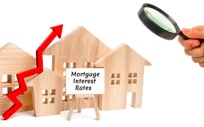 "The Benefits of Paused Mortgage Rates: A Buyer's Perspective"